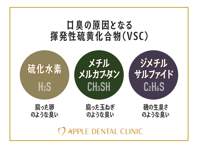 揮発性硫黄化合物の説明図